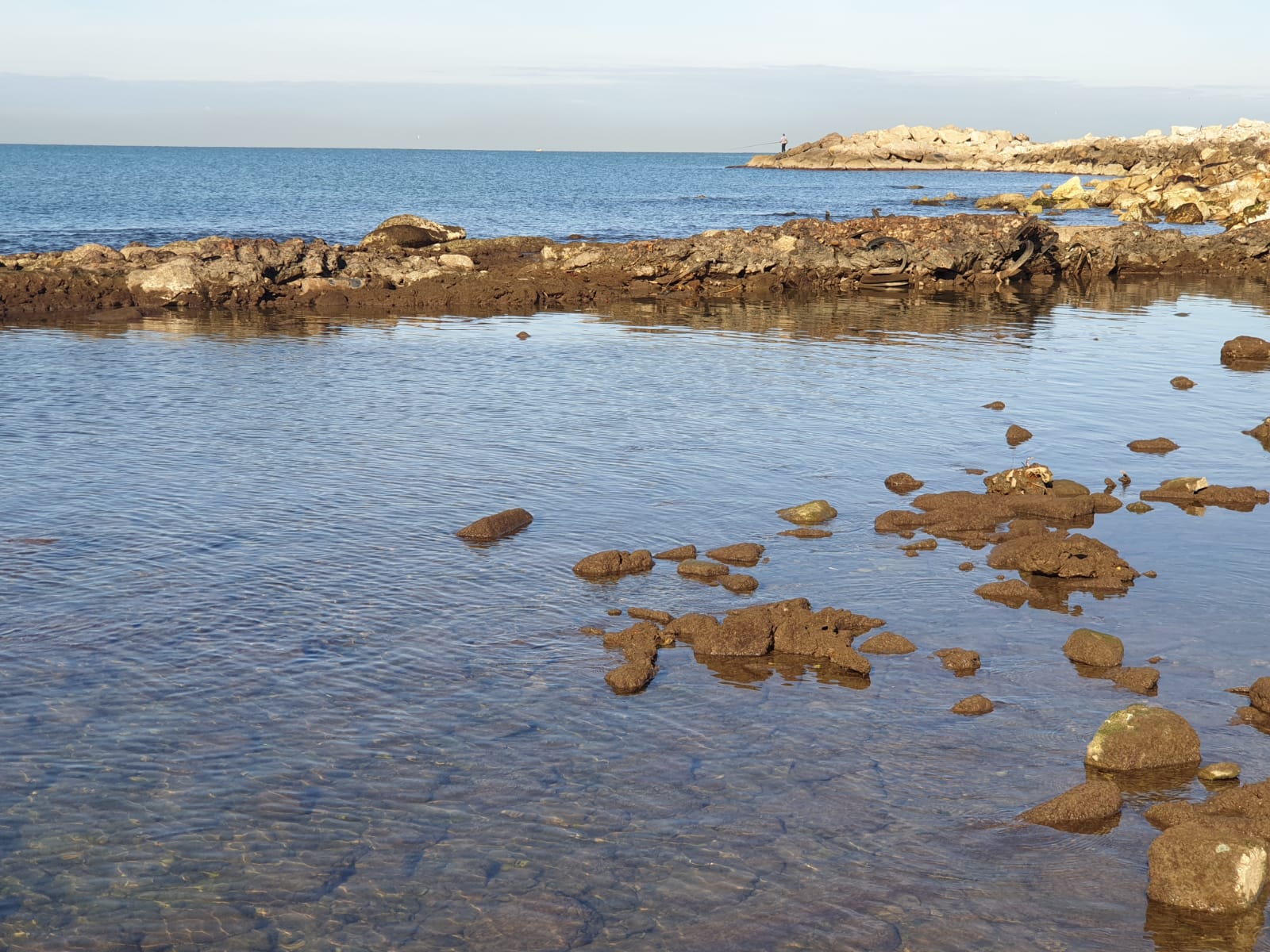 WhatsApp Image 2020-01-27 at 9.04.56 AM.jpeg.jpeg